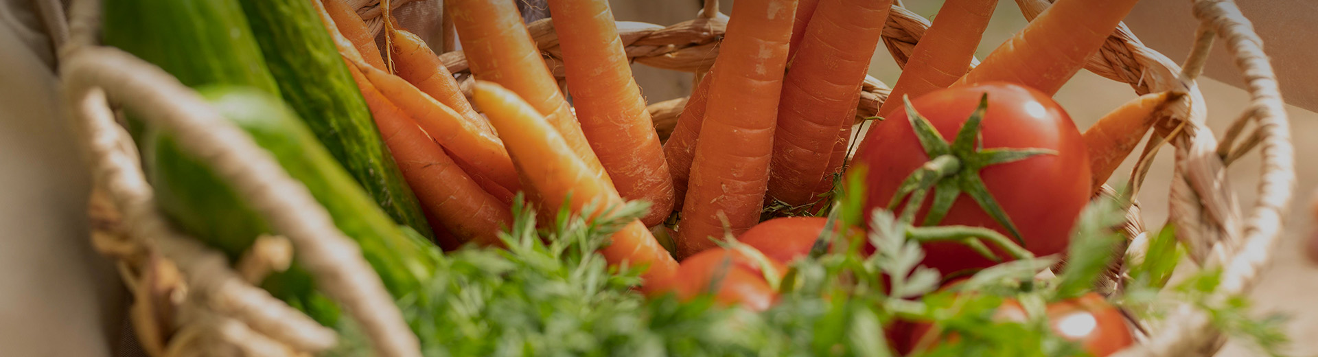 Huahong Food Contact Information