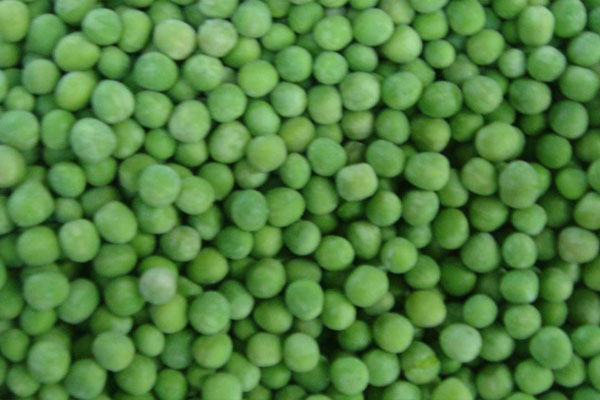 Frozen Green Pea1.jpg