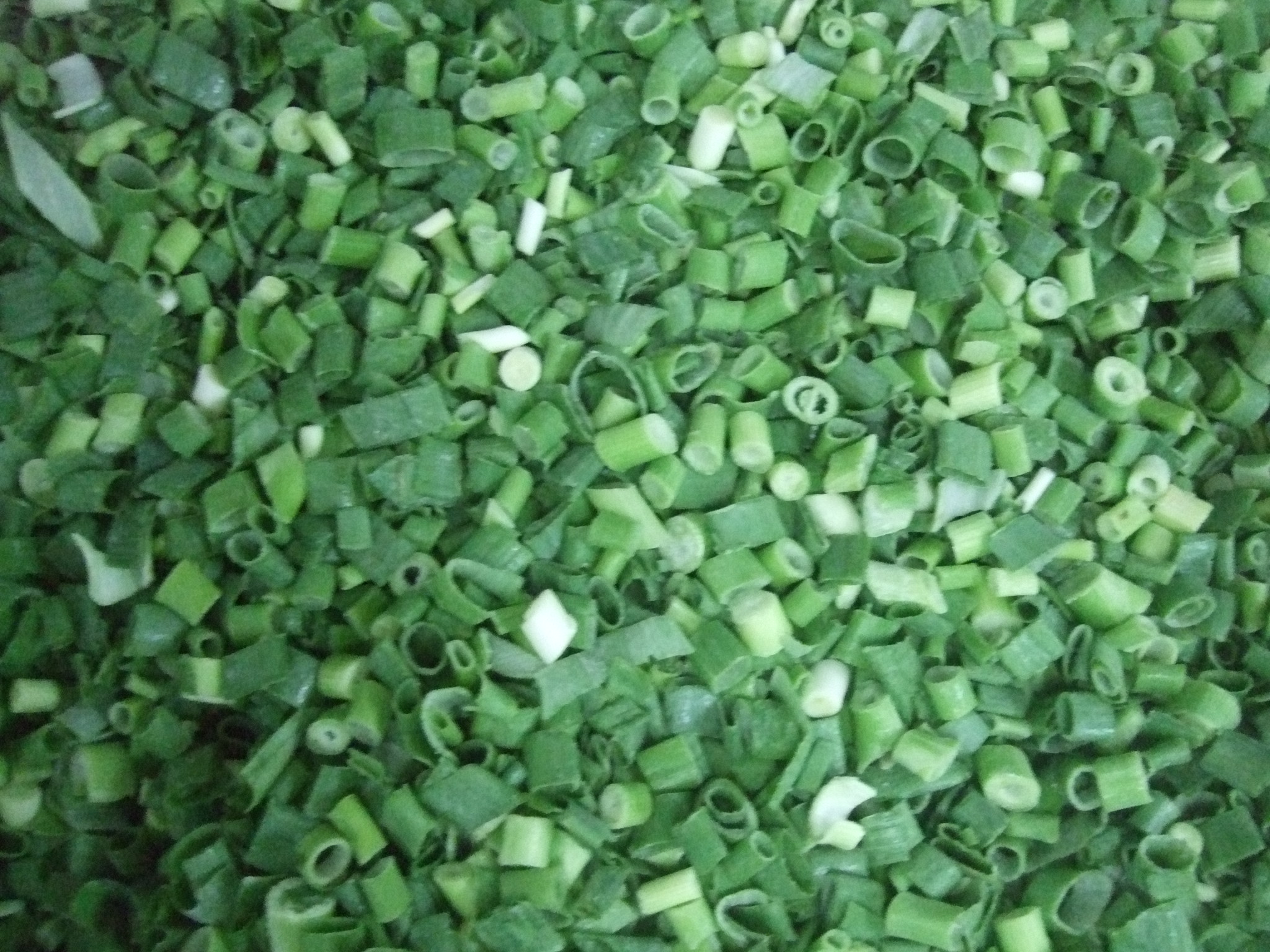 Frozen Spring Onion1.jpg